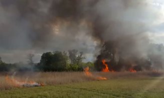 Flăcări și fum în Someșeni. Hectare de stuf, mistuite de flăcări