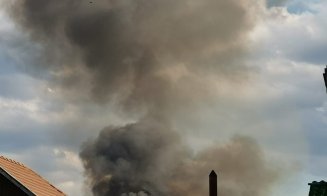 foc someseni