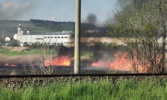 Flăcări și fum în Someșeni. Hectare de stuf, mistuite de flăcări