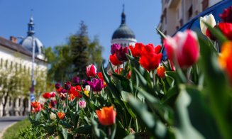 FOTO Cum arată primăvara la Cluj