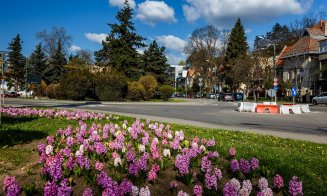 FOTO Cum arată primăvara la Cluj