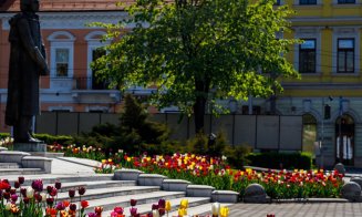 FOTO Cum arată primăvara la Cluj