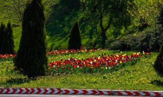 FOTO Cum arată primăvara la Cluj