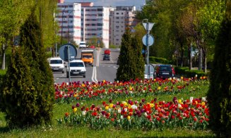 FOTO Cum arată primăvara la Cluj