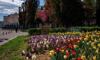 FOTO Cum arată primăvara la Cluj