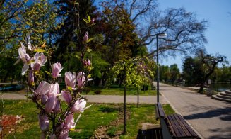 FOTO Cum arată primăvara la Cluj