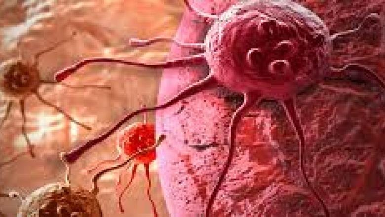 O genă ce permite cancerului să se răspândească în corp ar putea ajuta la tratarea afecţiunilor inimii