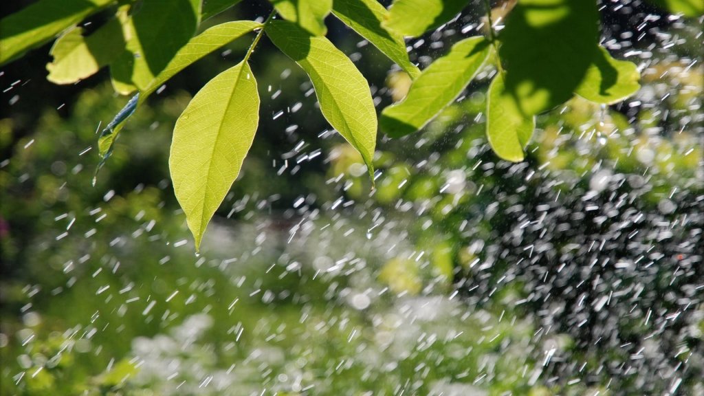 Prognoza meteo: Vremea se răcește și vin ploile