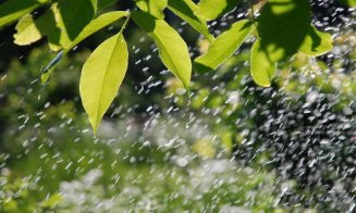 Prognoza meteo: Vremea se răcește și vin ploile