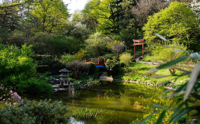 Parcul Sportiv Hațieganu și Grădina Botanică, redeschise. Când le poți vizita
