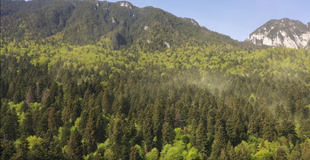 Imagini spectaculoase în Parcul Naţional Piatra Craiului. Un fenomen ce se întâmplă doar o zi pe an a fost surprins pe cameră