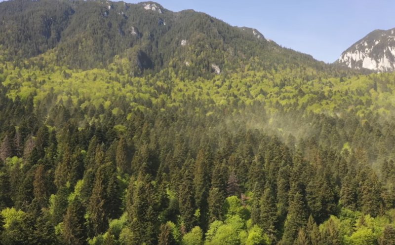 Imagini spectaculoase în Parcul Naţional Piatra Craiului. Un fenomen ce se întâmplă doar o zi pe an a fost surprins pe cameră