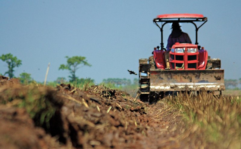 Fermierii solicită autorităţilor programe de investiţii în pieţe de desfacere pentru produsele agroalimentare româneşti