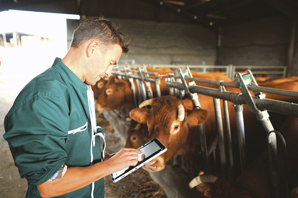 Banca Transilvania va acorda finanțări în avans agricultorilor