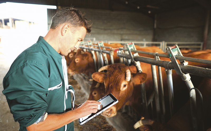 Banca Transilvania va acorda finanțări în avans agricultorilor