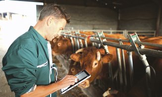 Banca Transilvania va acorda finanțări în avans agricultorilor