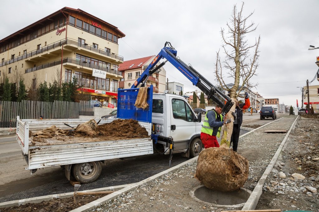 Manifest clujean de Ziua Mediului. "Să avem spațiu verde de minimum 26 mp/locuitor în oraș"