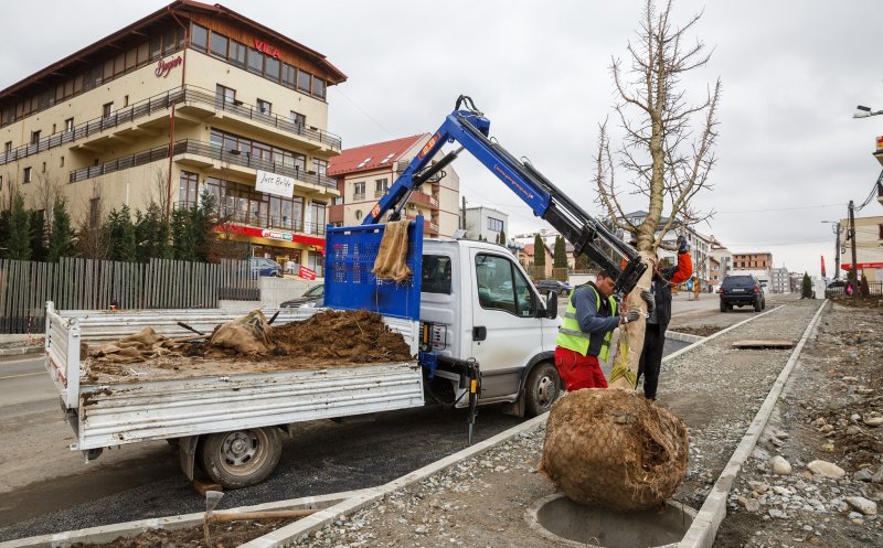 Manifest clujean de Ziua Mediului. "Să avem spațiu verde de minimum 26 mp/locuitor în oraș"