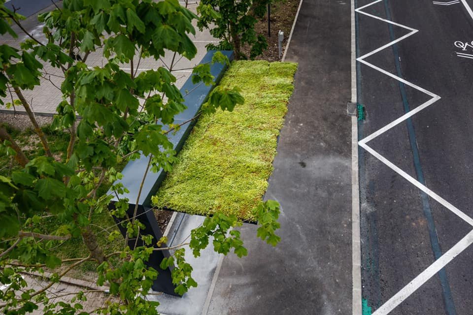 Șase stații cu acoperiș verde vor fi amenajate în Piața Gării