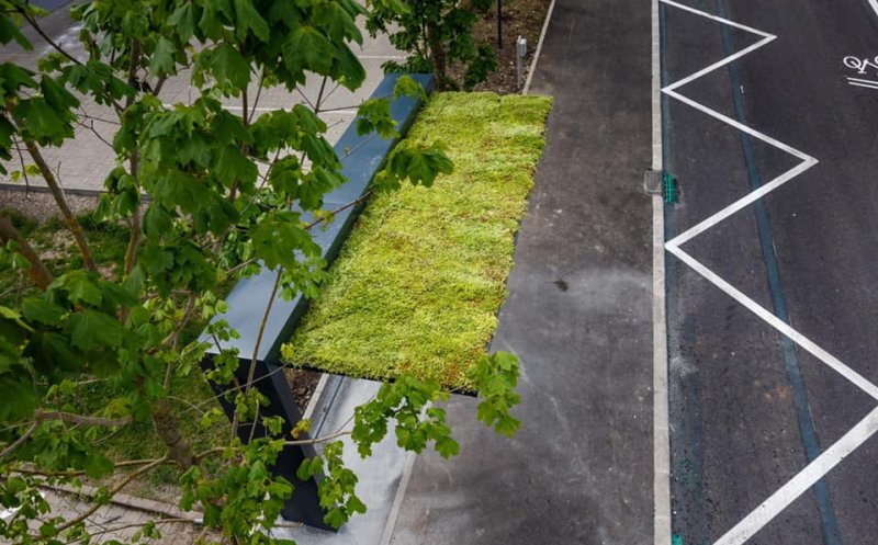Șase stații cu acoperiș verde vor fi amenajate în Piața Gării