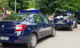 Răfuială în Parcul Central. Distanțarea socială, o glumă bună
