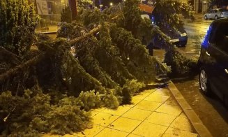 Furtuna a făcut ravagii în Cluj. Drumuri inundate, copaci rupți