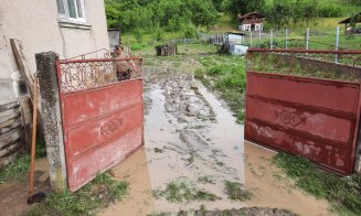 Ploile au făcut ravagii în județul Cluj