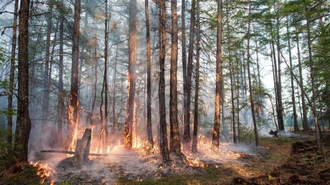 Temperaturi de 38 de grade Celsius în Siberia şi incendii extinse la Cercul Arctic