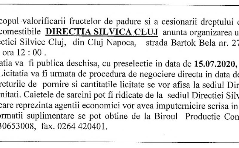 Licitație pentru valorificare a fructelor de pădure și cesionarea dreptului de achizție a ciupercilor comestibile