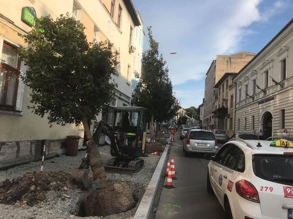 Eco Garden înverzeşte centrul Clujului