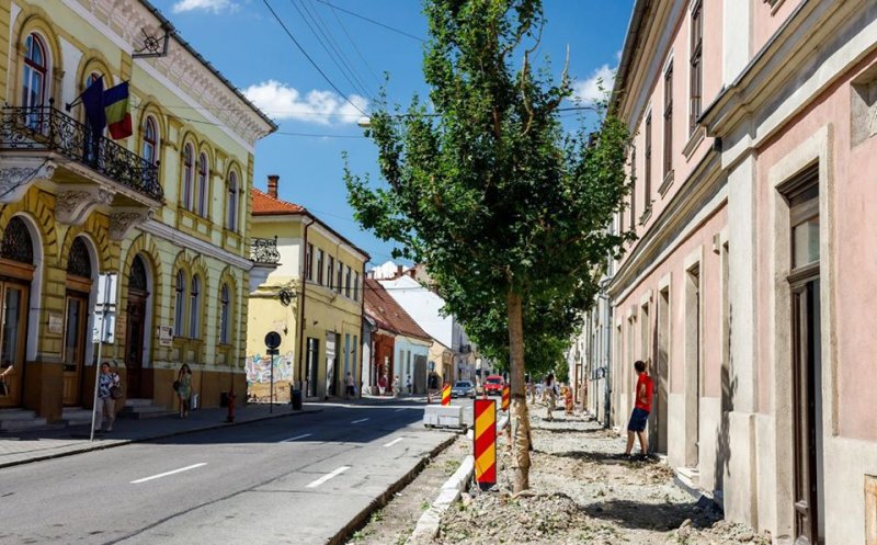 S-au plantat primii arbori pe strada Napoca. Urmează Piaţa Blaga, Petru Maior, Emil Isac