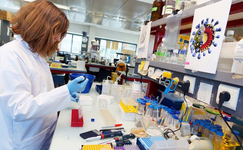 Cazurile noi de coronavirus în țară, mai puține cu 250 de la o zi la alta