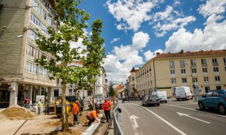 A început plantarea arborilor cu balot în Piața „Lucian Blaga”