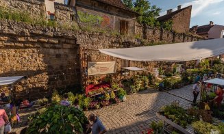 Cum a înflorit o stradă din Cluj-Napoca, în plină pandemie COVID