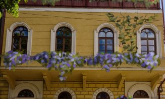 Centrul Verde. Flori în Piaţa Muzeului, cu concurs
