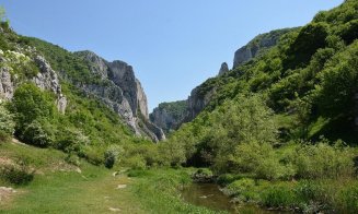 Scădere de 62,7 %! Pandemia face ravagii în turismul clujean