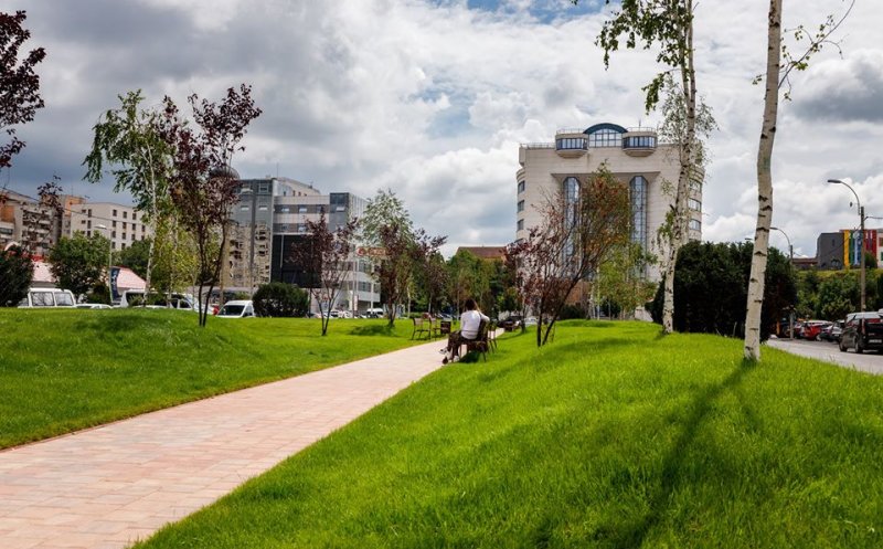 Ziua de Cluj | Aleea Bibliotecii: un nou spațiu verde în cartierul Mărăști