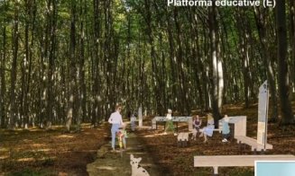 Clujenii au cerut, Primăria Face: cum va fi amenajată pădurea-parc Făget. "Nu va fi tăiat niciun copac!"