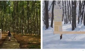 Clujenii au cerut, Primăria Face: cum va fi amenajată pădurea-parc Făget. "Nu va fi tăiat niciun copac!"