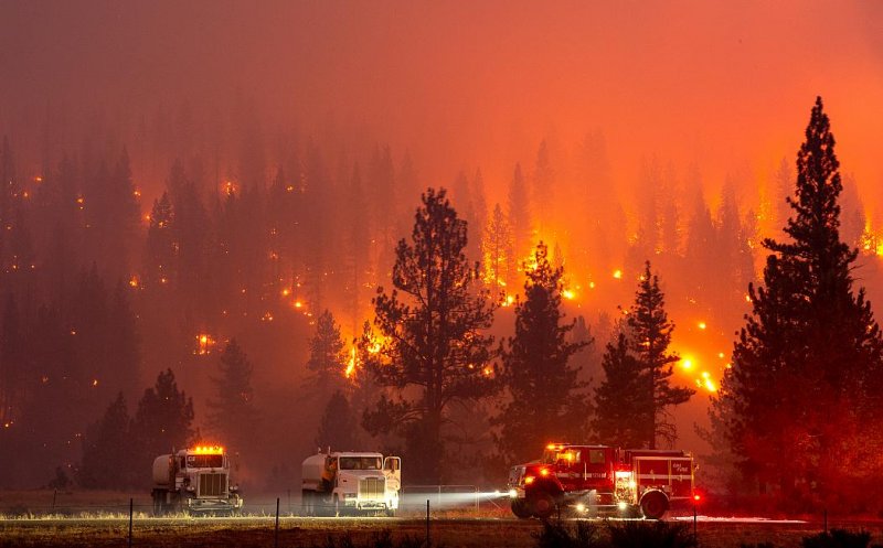Incendiile de vegetaţie fac prăpăd în California