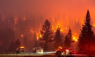 Incendiile de vegetaţie fac prăpăd în California