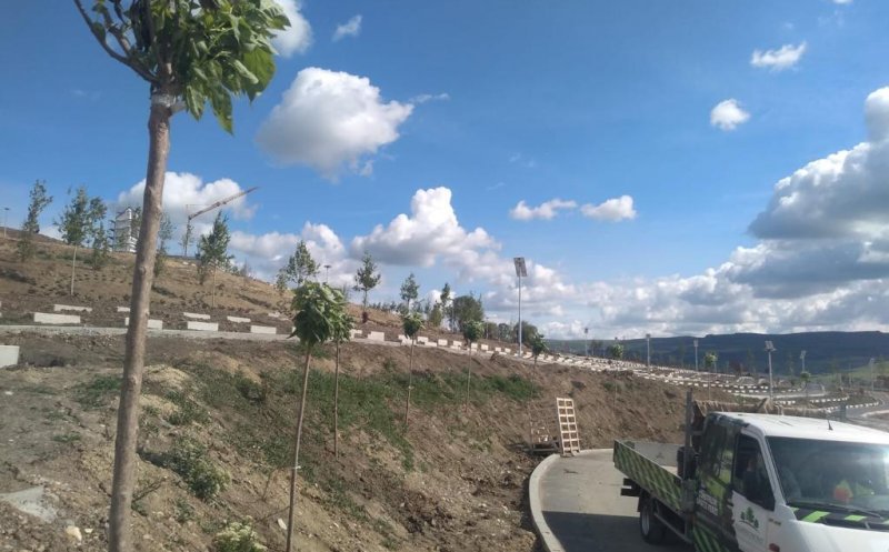 Primul cimitir-parc din Cluj, pe model american, în faza de recepţie
