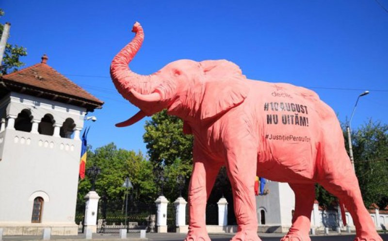 Elefant roz, plimbat prin tot Bucureștiul de membrii unui ONG. Motivul - „10 august”