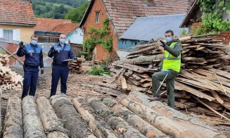 Dispar pădurile din Cluj. Aproape 100 de dosare penale pentru tăieri ilegale