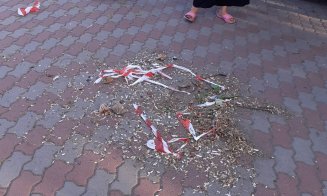 Campanie împotriva scuipătorilor de coji de semințe la Turda. “Trebuie să ne civilizăm”