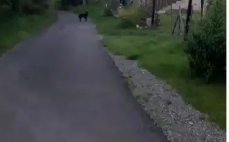 Reglare de conturi la Cluj. Copiii s-au certat, părinții s-au bătut