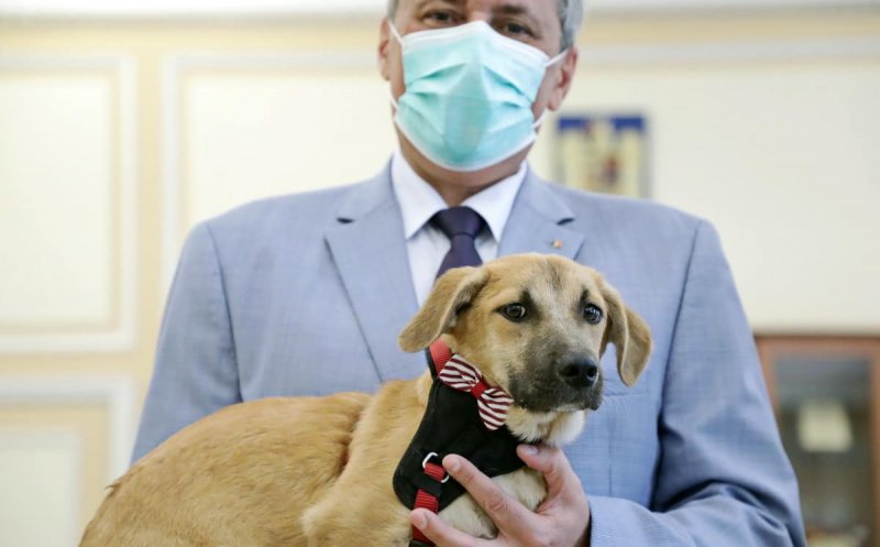 Se înființează Poliția Animalelor. Polițiștii vor putea interveni fără mandat, iar animalele aflate în pericol vor putea fi confiscate