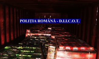 Cea mai mare captură de droguri din România, în valoare de 60 de milioane de euro