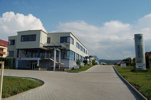Vitacom: “Informatizarea statului trebuie să se facă mai rapid”