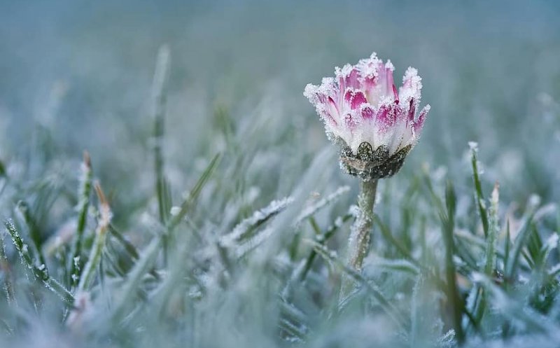 METEO: Temperatura a scăzut până la limita înghețului dimineaţa aceasta